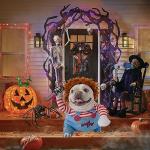 Funny Pet Halloween Costume for Dogs
