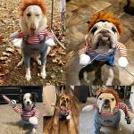 Funny Pet Halloween Costume for Dogs
