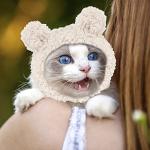 Cute Cat Costume Hat for Small Pets