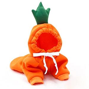 Cute Fruit Dog Hoodie for Winter Wear