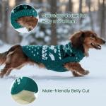 Christmas Dachshund Sweater Pullover for Small Dogs
