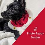 Huxley & Kent Santa Scrunchy for Pets