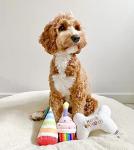 TONBO Adorable Plush Dog Toys for Parties