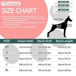 Christmas Dachshund Sweater Pullover for Small Dogs