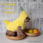 Cute Extra-Warm Dog Coat for Small Dogs