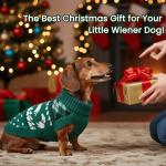 Christmas Dachshund Sweater Pullover for Small Dogs