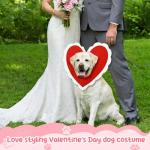 Cute Heart-Shaped Halloween Hat for Pets