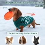 Christmas Dachshund Sweater Pullover for Small Dogs