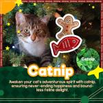 Cat Christmas Toys with Natural Catnip for Kittens