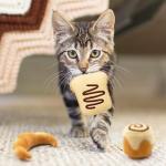 CiyvoLyeen Catnip Bread Toys for Kittens - 6 Pack
