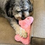 Warm Hug Bone Plush Dog Toy with Lavender
