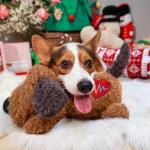 Heartbeat Plush Dog Toy for Puppy Anxiety Relief