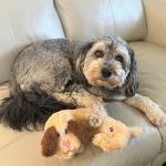 Warm Hug Pal Dog Plush Toy with Lavender