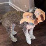 Warm Hug Pal Dog Plush Toy with Lavender