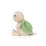 Jellycat Thimble Turtle - Spring 2026 Exclusive
