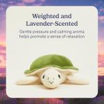 Microwavable Weighted Turtle Plush Toy