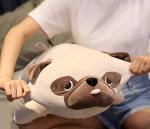 Spring Bulldog Plush Toy - Fluffy 50cm Pillow