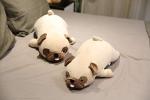 Spring Bulldog Plush Toy - Fluffy 50cm Pillow