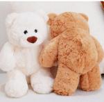 10-Inch Soft White Teddy Bear Plush Toy
