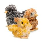 Douglas Black Chick Plush Toy