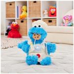 GUND Cookie Monster Plush Toy - 15” Blue
