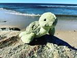 Cute 12" Weighted Plush Turtle Stuffed Animal