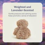 Microwavable Sloth Plushie for Warmth and Comfort