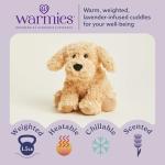 Microwavable Weighted Golden Dog Plush Toy