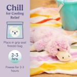 Microwavable Weighted Platypus Plush Toy