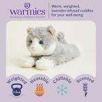 Cozy Warmies Microwavable Laying Gray Cat Plushie