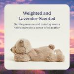 Cozy Brown Bear Microwavable Weighted Plush Toy
