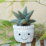 Kawaii Apricot Lamb Plush Toy in Green Pot