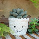 Kawaii Apricot Lamb Plush Toy with Green Pot