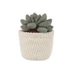 Kawaii Apricot Lamb Plush Toy with Green Pot