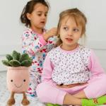 Flower Pot Succulent Plush Toy Pillow Doll