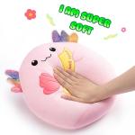 Get Well Soon Axolotl Plush Pillow Toy