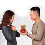 Mocha Heart Plush Bear Toy for All Ages