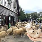 Cute Shaved Sheep Plush Toy for Kids