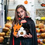 Reversible Bat Ghost Plush with Pumpkin Zipper