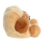 Aurora Palm Pals Colson Hot Dog Plush Toy 5