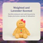 Gingerbread Girl Microwavable Plush Toy for Comfort