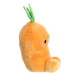 Aurora Palm Pals Cheerful Carrot Stuffed Toy