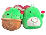 Squishmallows Valentine Pairs: Shadi & Marcellus Cacti
