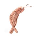 Jellycat Sheldon Shrimp Plush Toy - 8.5 Inches