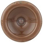 REBBL Organic Hazelnut Chocolate Protein, 12 FZ
