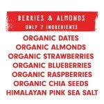 JONESBAR (Berries & Almond, 1 Bar (Pack of 1)) USDA Organic Fruit & Nut Bar, Non-GMO, Kosher, Vegan, Gluten Free, Simple Snack Bar