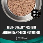 Purina Pro Plan Veterinary Diets EN Gastroenteric Canine Formula Wet Dog Food - (Pack of 12) 13.4 oz. Cans