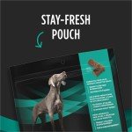 Purina Pro Plan Veterinary Diets Digestive Health Bites Dog Treat Chews - 16 oz. Pouch
