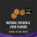Purina Pro Plan Veterinary Diets Dental Bites Cat Treats - 1.8 oz. Pouch