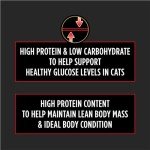 Purina Pro Plan Veterinary Diets DM Dietetic Management Feline Formula Dry Cat Food - 6 lb. Bag